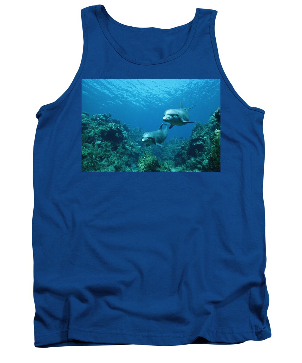 Mp Tank Top featuring the photograph Bottlenose Dolphins and Coral Reef by Konrad Wothe