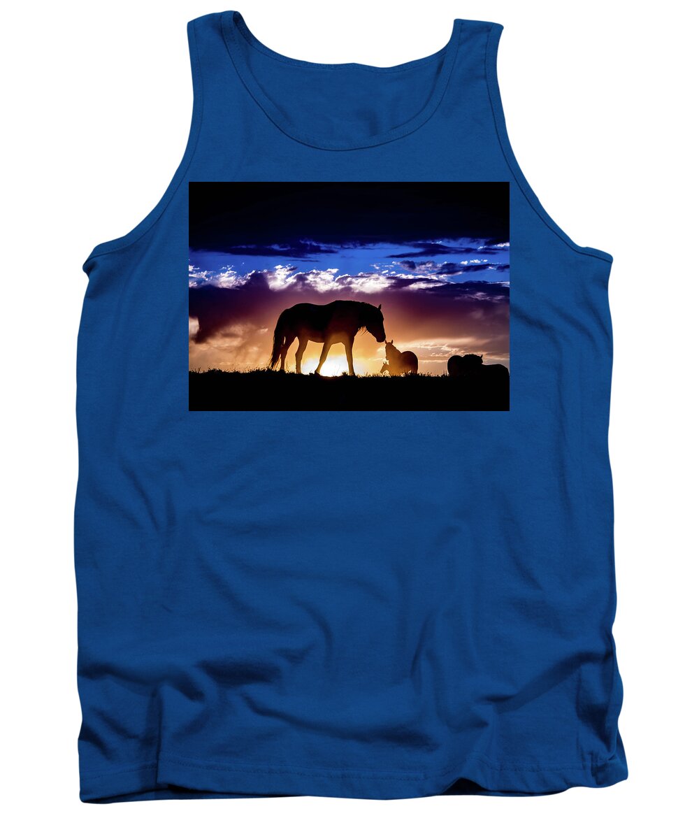Wild Horse Tank Top featuring the photograph Charger At Sundown by Dirk Johnson