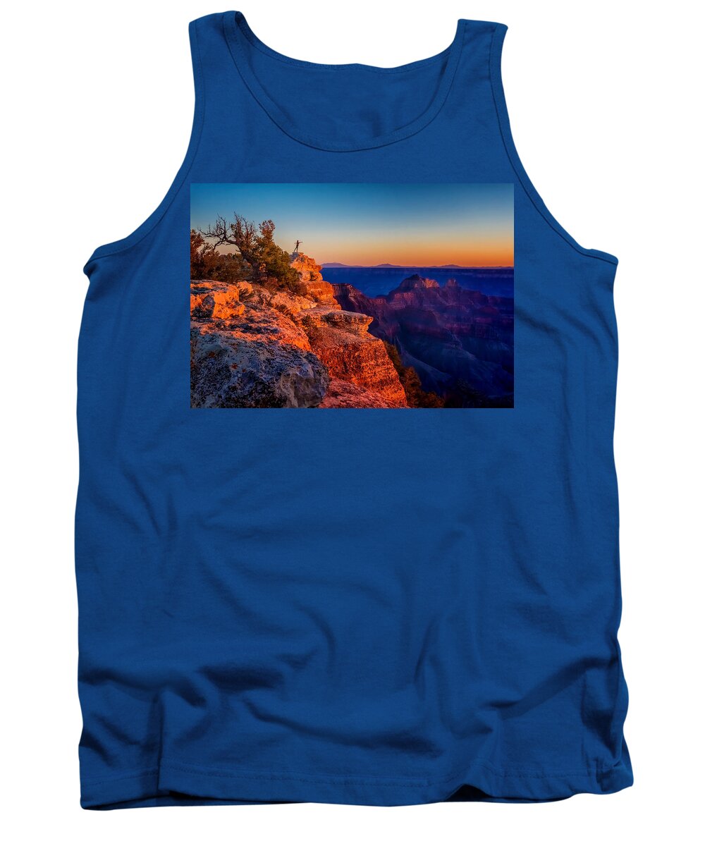 Ballerina Tank Top featuring the photograph Dancer on The Ledge by Dave Koch
