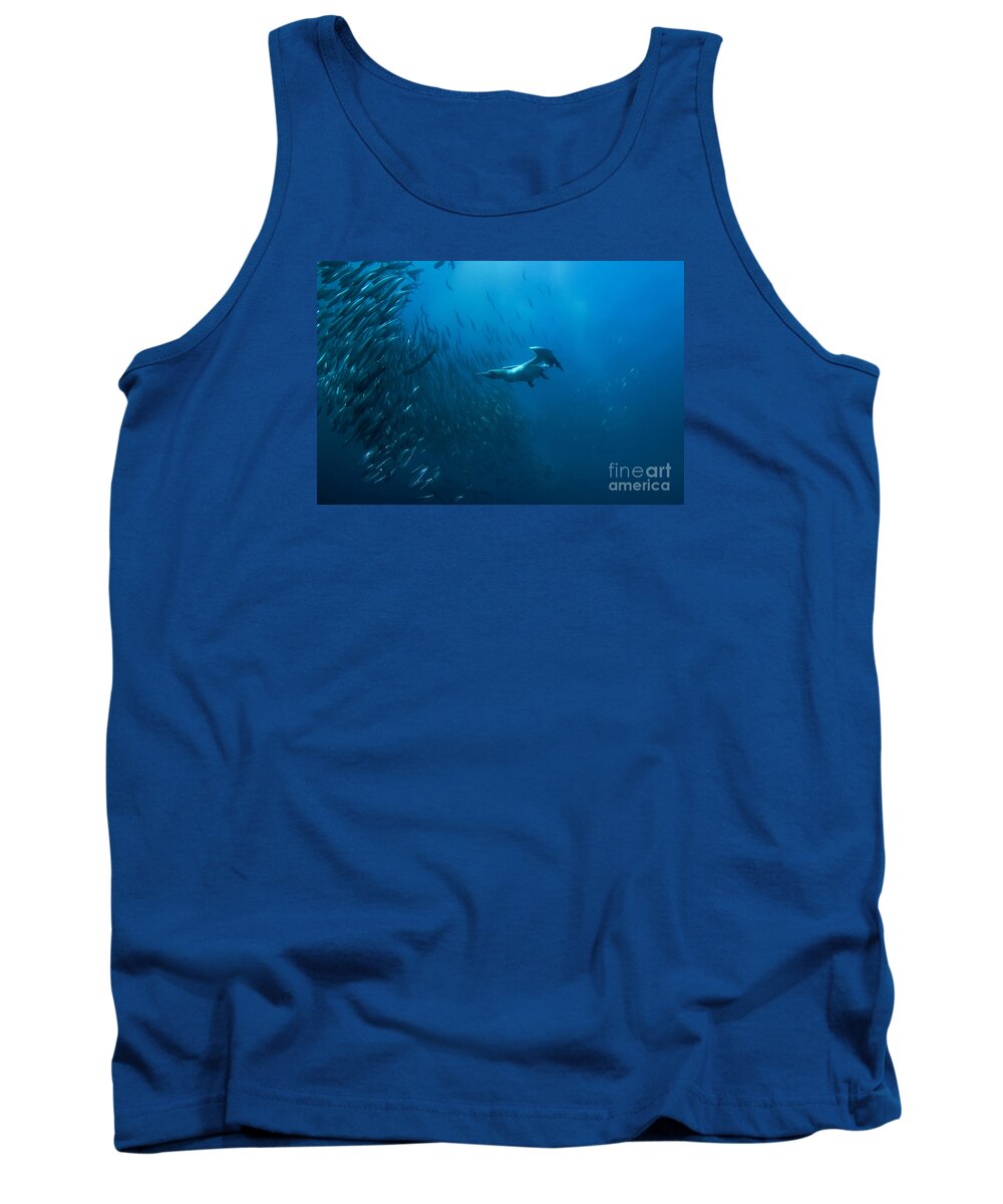 80135771 Tank Top featuring the photograph Gannet Chasing Baitball by Colin Marshall