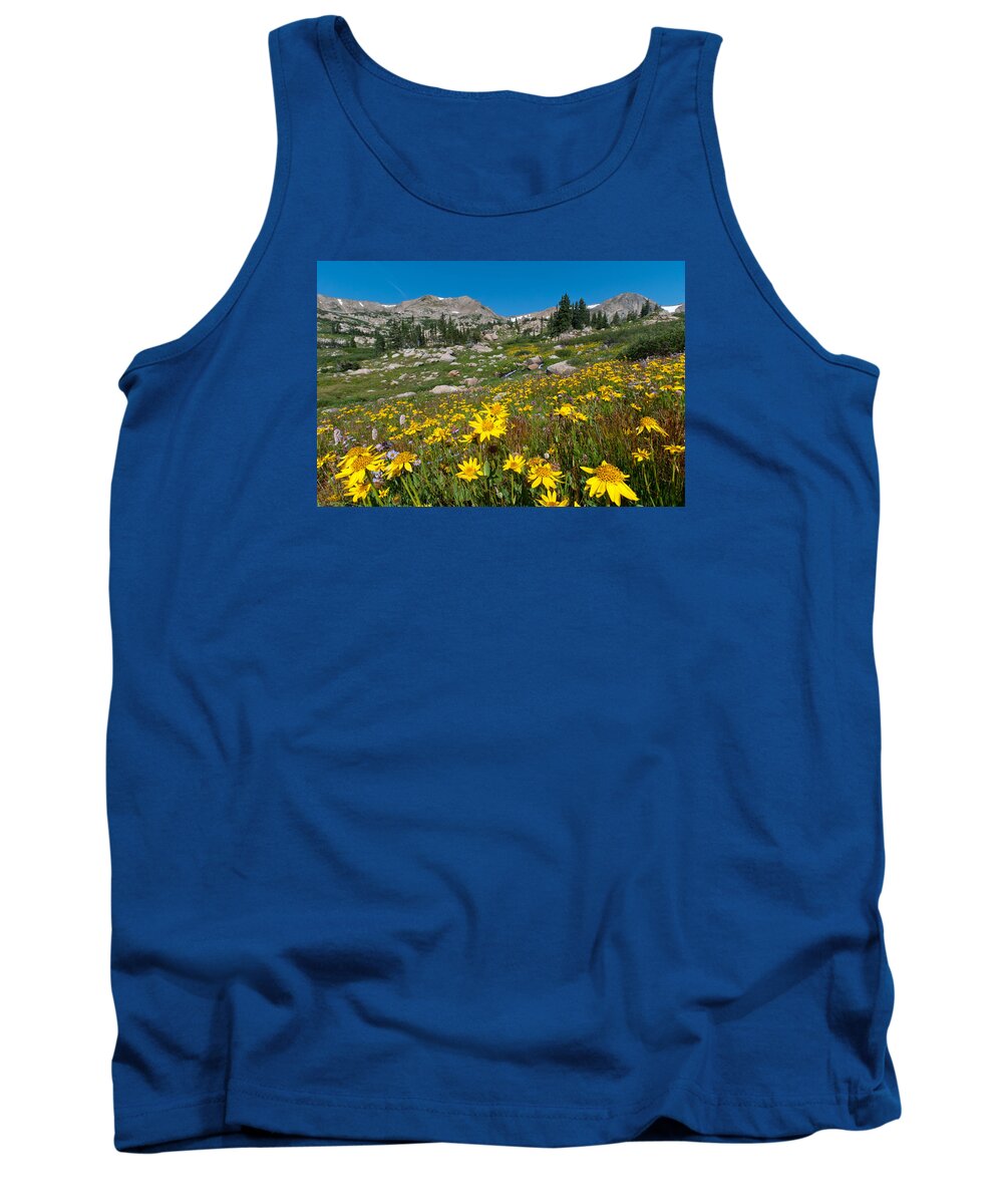 Indian Peaks Wilderness Area Tank Top featuring the photograph Indian Peaks Summer Wildflowers by Cascade Colors