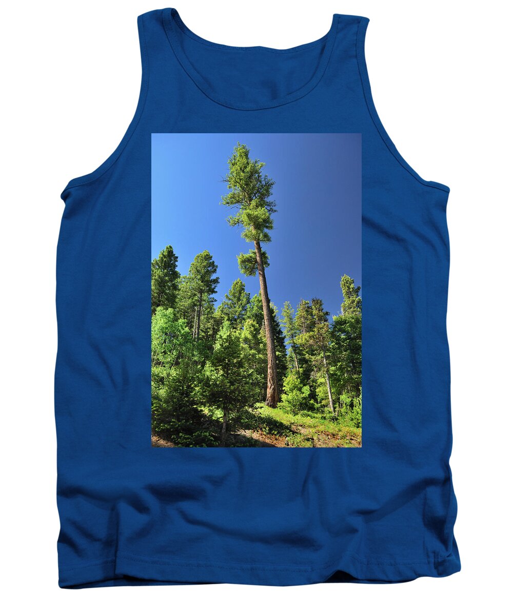 Trees Tank Top featuring the photograph Old Ponderosa by Ron Cline