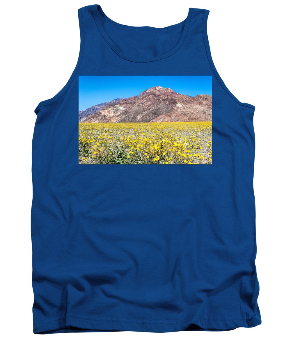 Death Valley Super Bloom Tank Top featuring the photograph Perfect Day by Rick Wicker
