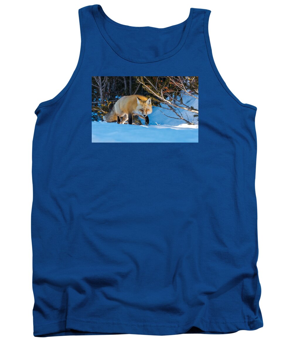 Red Fox Tank Top featuring the photograph Red Fox In Winter Snow by Yeates Photography