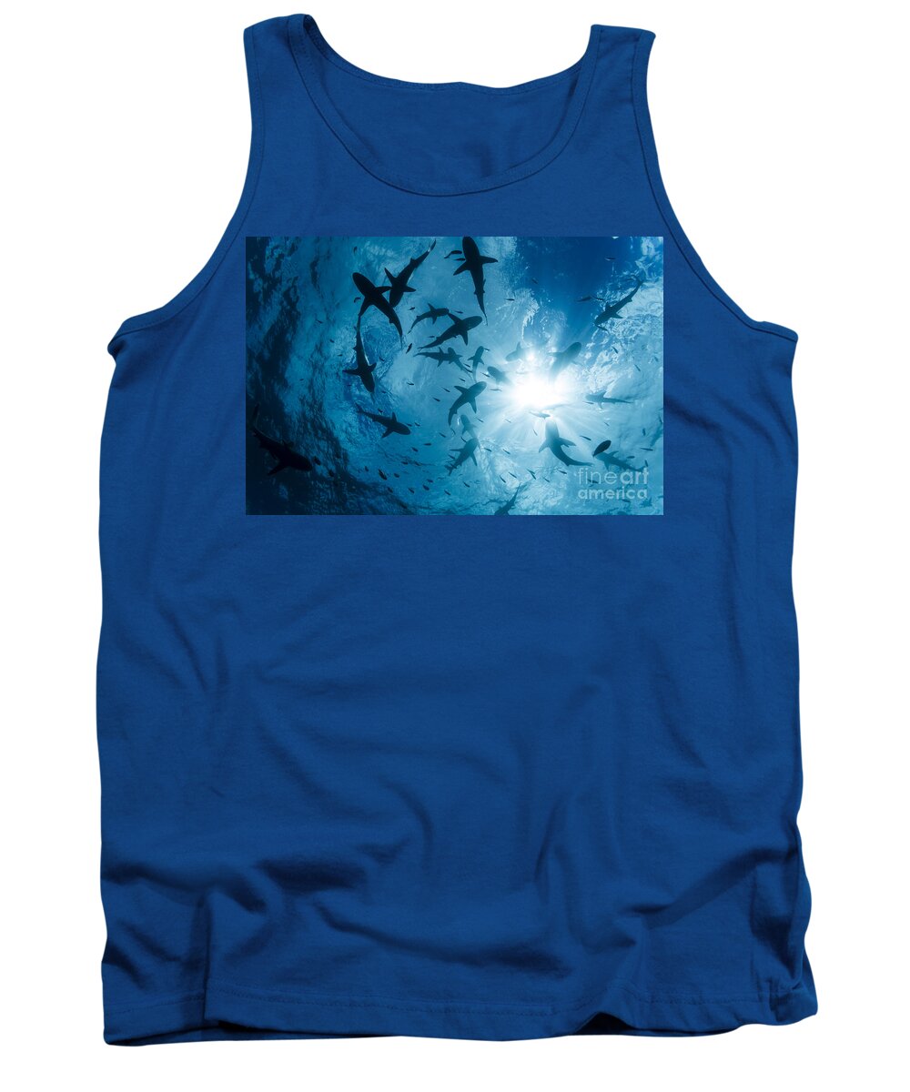 Animal Themes Tank Top featuring the photograph School Of Grey Reef Sharks by Dave Fleetham