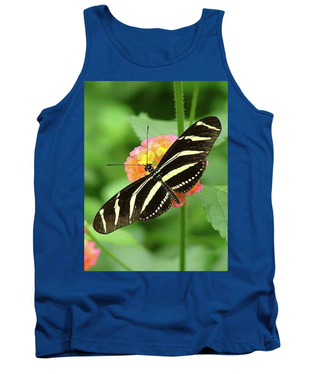 Butterflies Tank Top featuring the photograph Striped Butterfly by Wendy McKennon