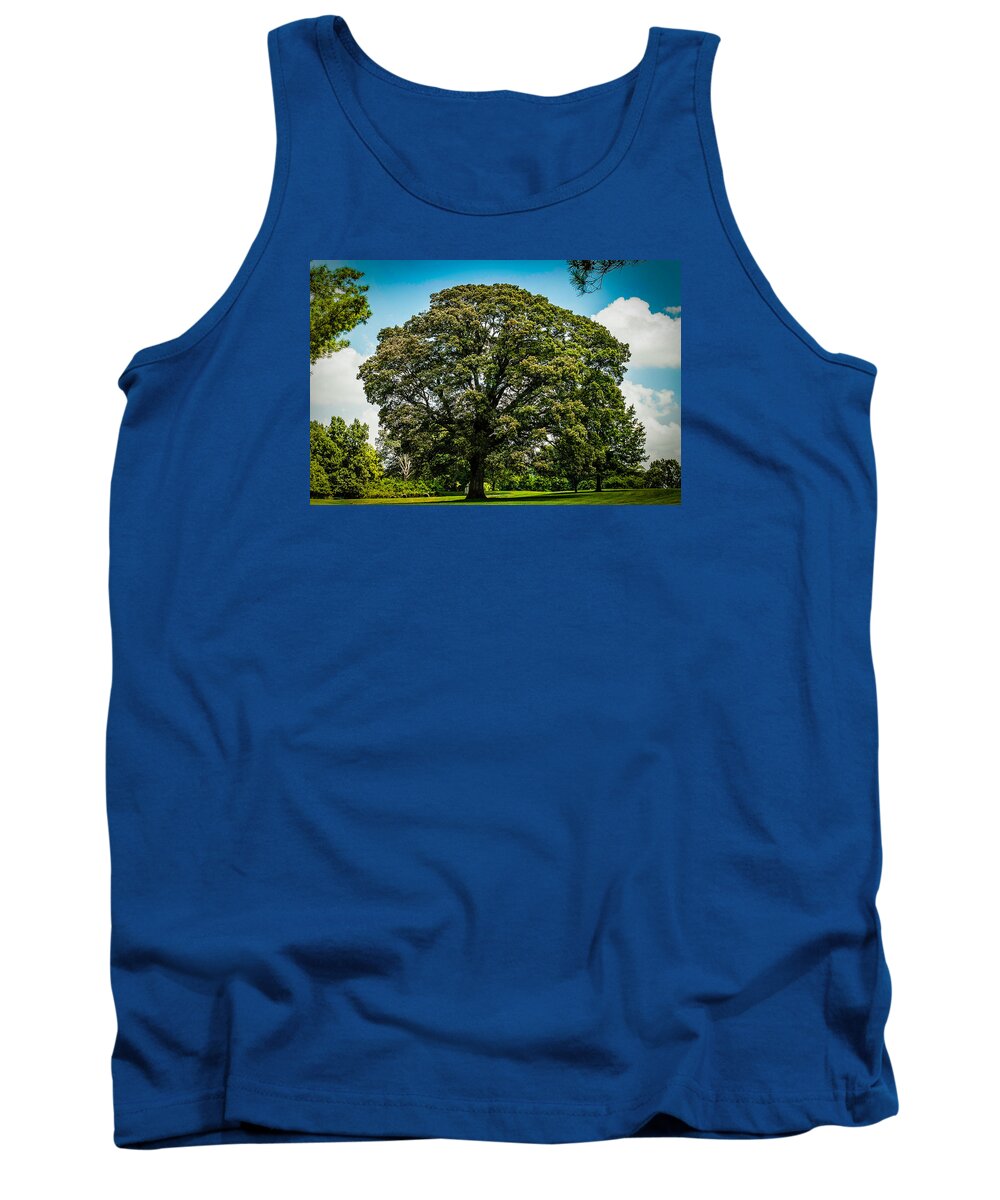 Tree Tank Top featuring the photograph The Summer Tree by Kristy Creighton