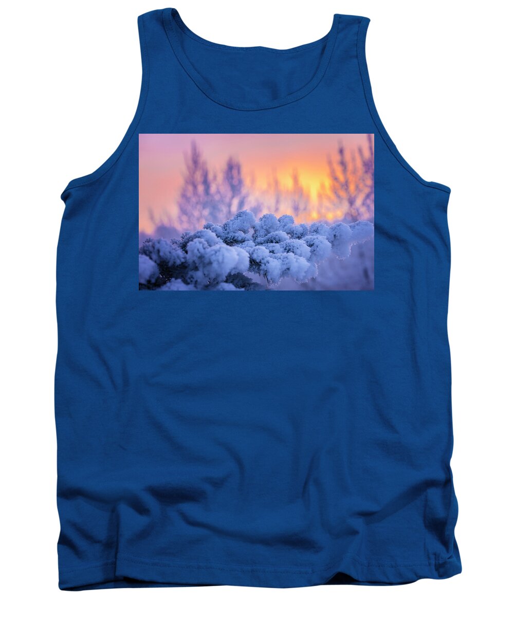 Alaska Tank Top featuring the photograph Winters Frost by Scott Slone