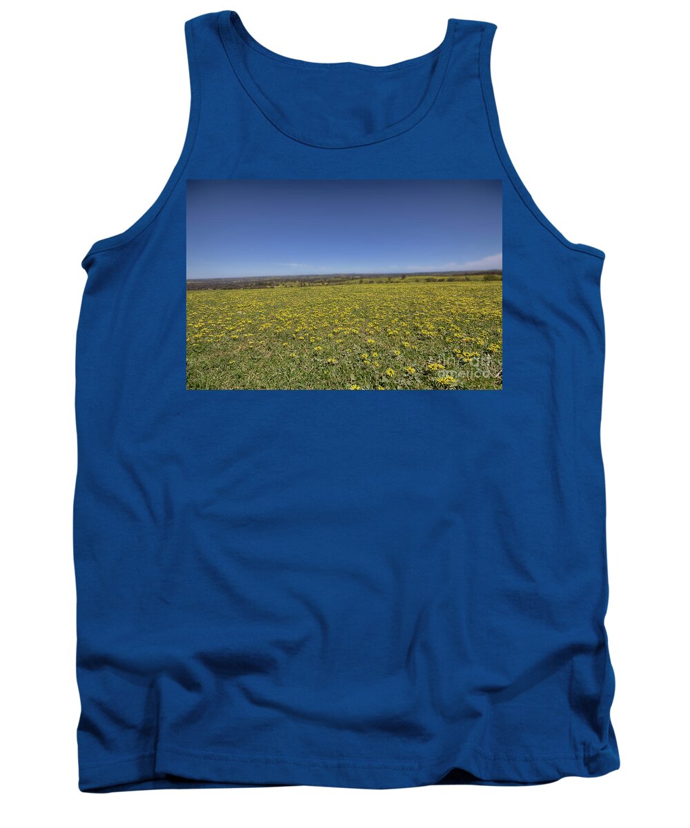Trees Tank Top featuring the photograph Yellow Blanket II by Douglas Barnard