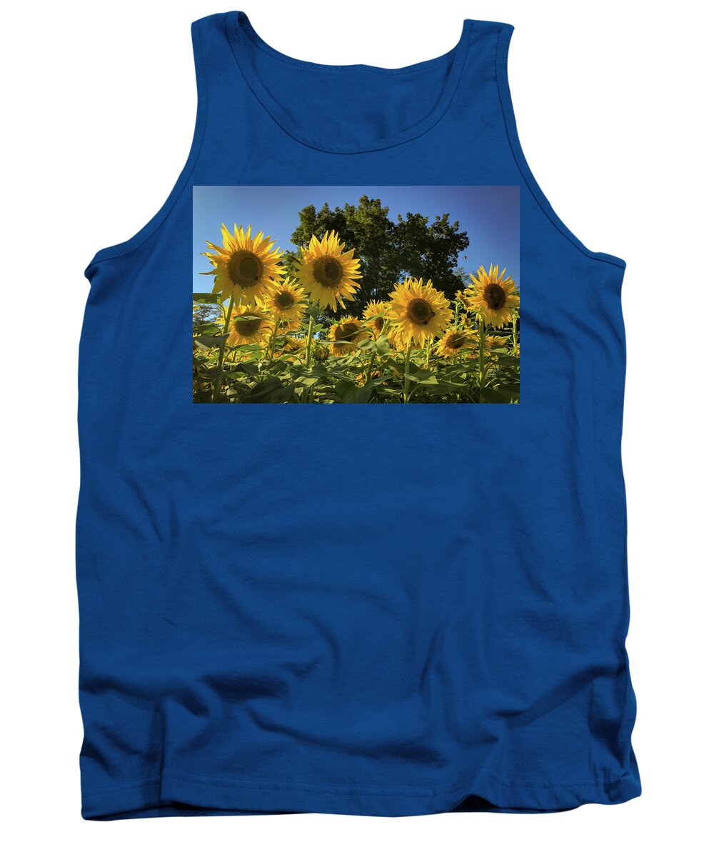 Sunflowers Tank Top featuring the photograph Sunlit Sunflowers #1 by Lora J Wilson