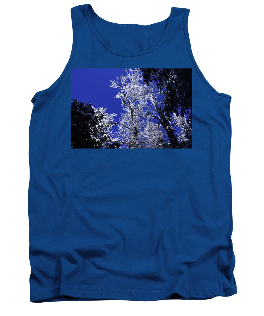 Snow Tank Top featuring the photograph Crystal Lattice by Rockybranch Dreams