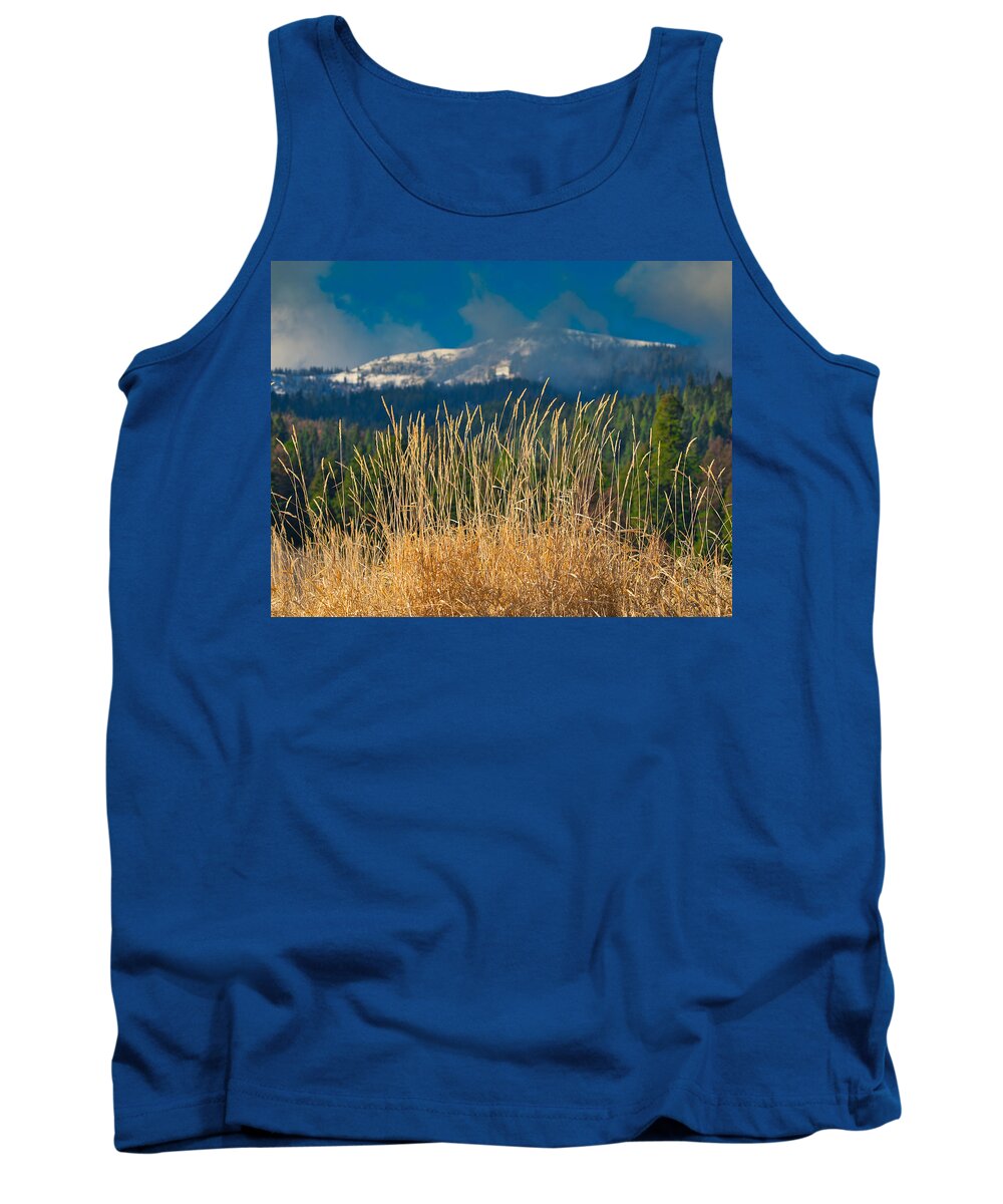Mountain Tank Top featuring the photograph Gold Grass Snowy Peak by Tom Gresham