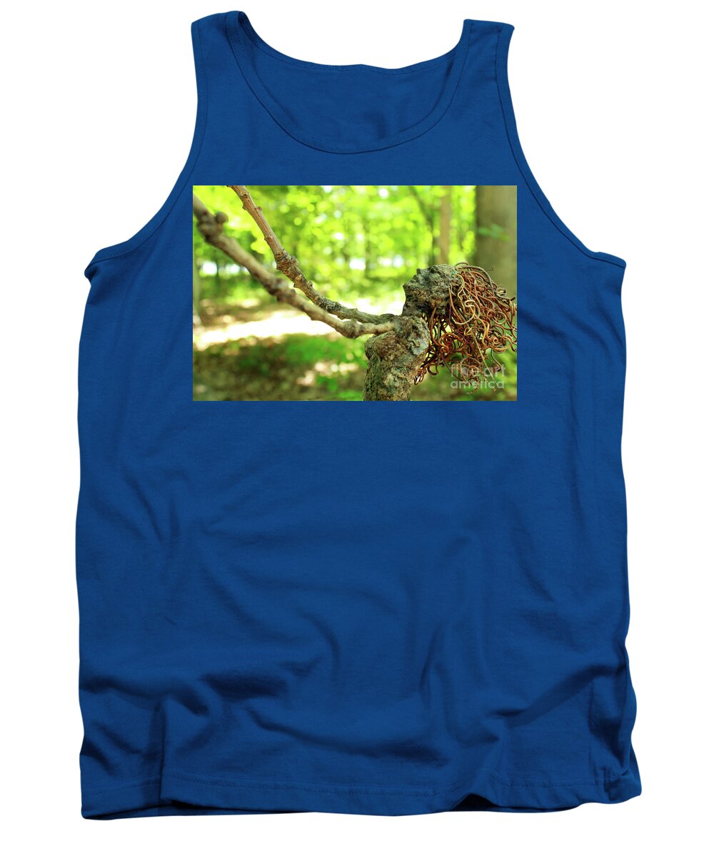 Fantasy Tank Top featuring the photograph Loving the Forest by Adam Long