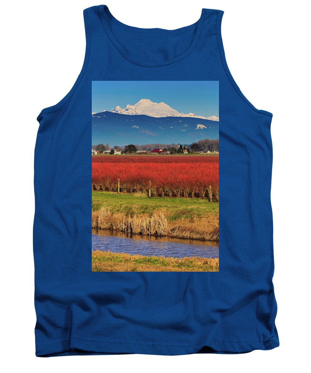 Landscape Tank Top featuring the photograph Nine Layer Dip by Briand Sanderson