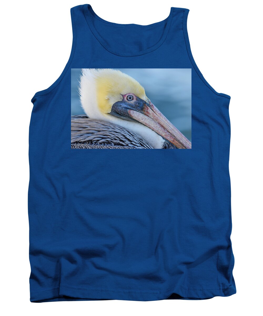 Pelican Tank Top featuring the photograph Pelican Profile by Christopher Rice