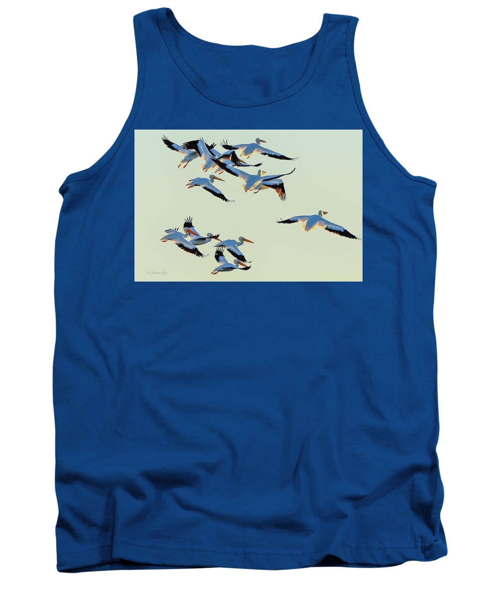 White Tank Top featuring the photograph Port Bay Pelicans by Christopher Rice