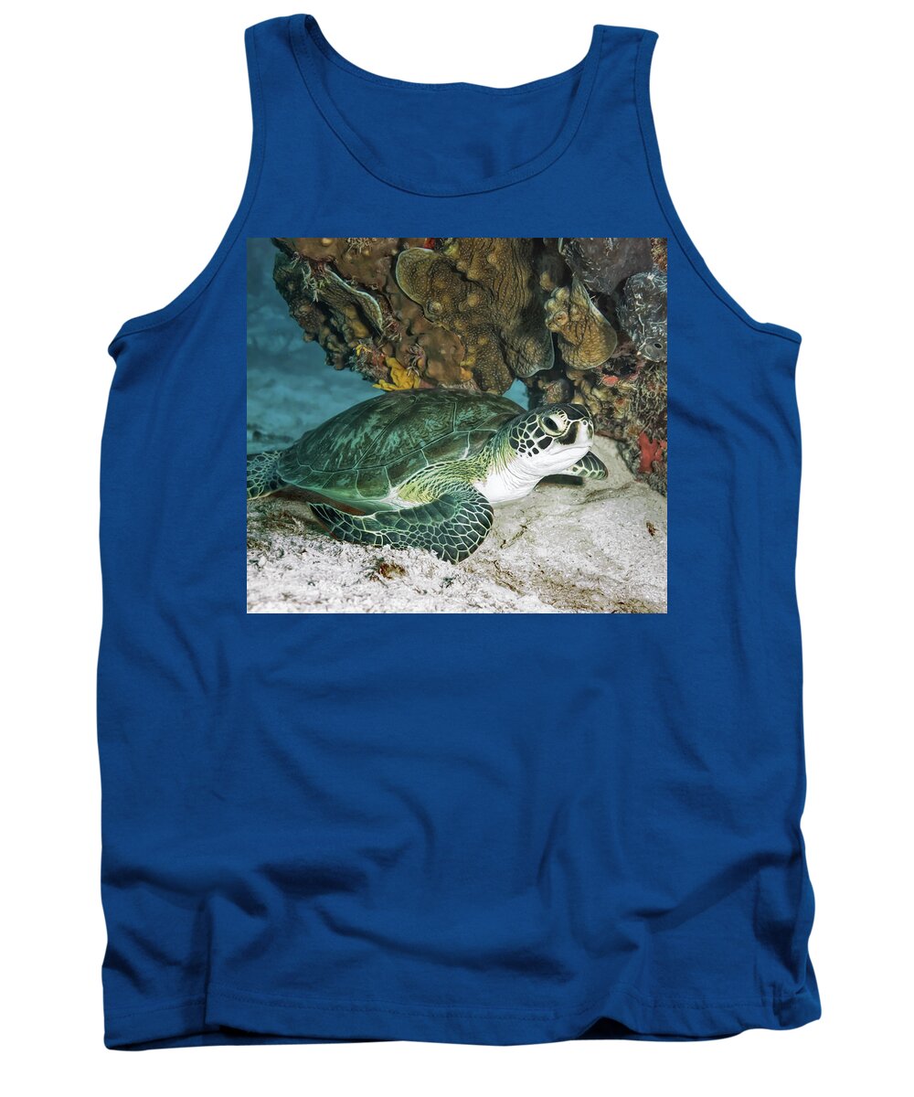 Turtle Tank Top featuring the photograph Green Sea Turtle by Susan Hope Finley