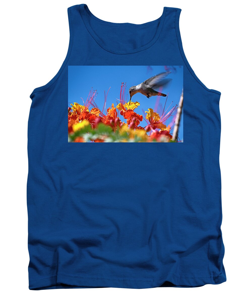 Action Tank Top featuring the photograph Humming by Jay Heifetz