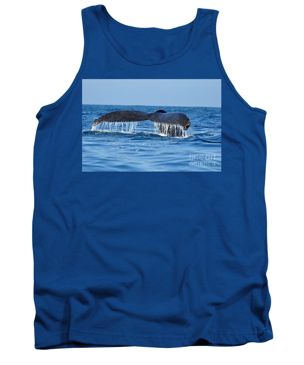 Fluke Tank Top featuring the photograph Humpback Tail by Ed Stokes