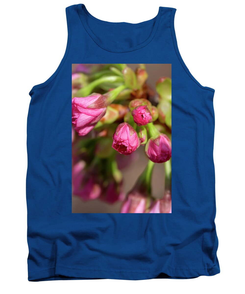 Flower Tank Top featuring the photograph Japanese Flowering Cherry by Dawn Cavalieri