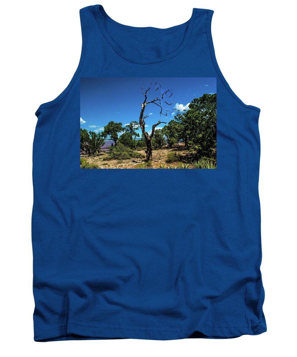 Lone Tree Tank Top featuring the photograph Lone Tree Grand Canyon by Gordon Sarti