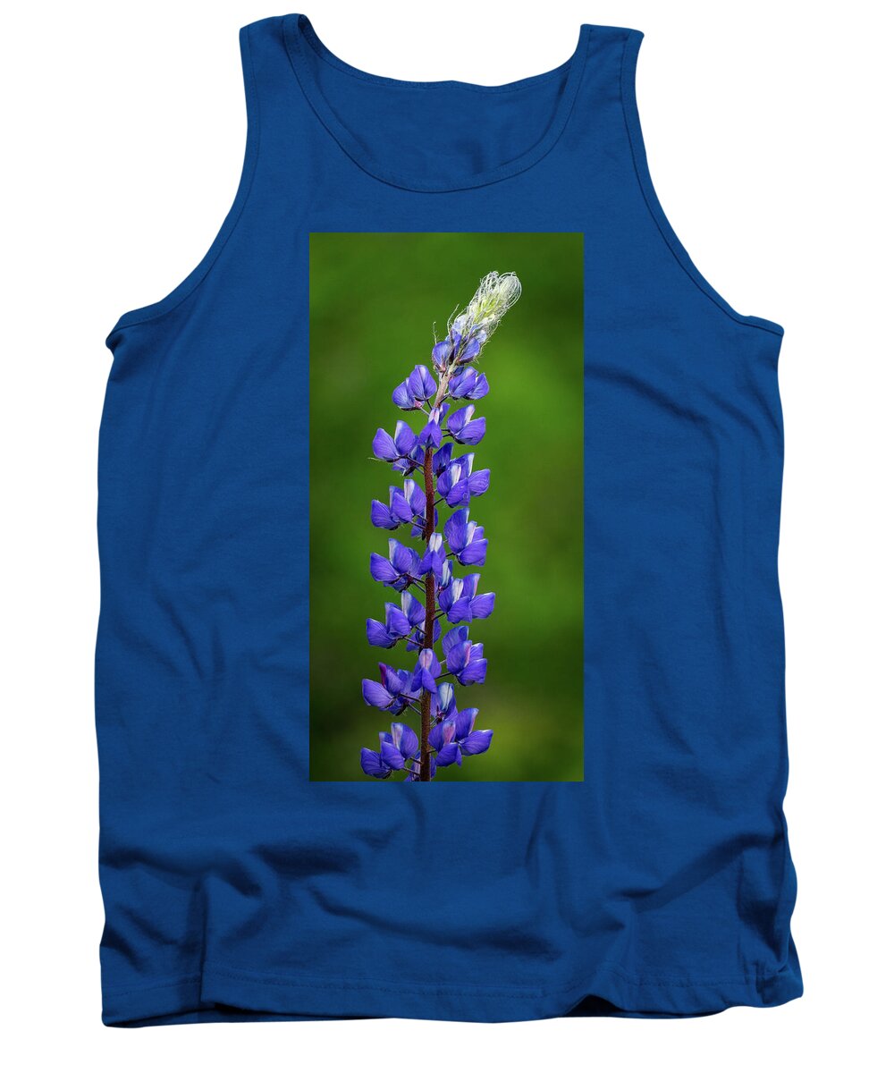 Lupine Tank Top featuring the photograph Marvelous Lupine by Brett Harvey