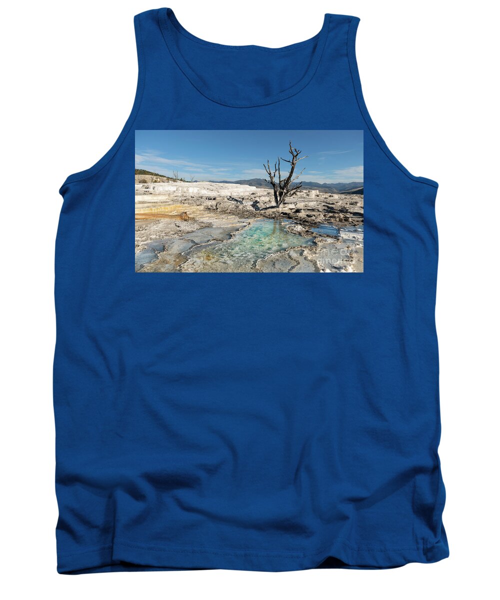 Landscape Tank Top featuring the photograph Nature's Palette by Sandra Bronstein