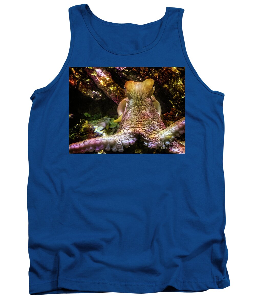 Water Tank Top featuring the photograph Octopus - Deep Underwater by Doc Braham