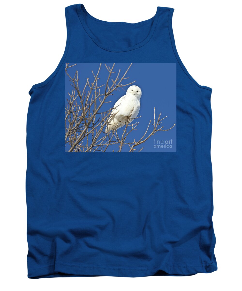 Snowy Owl Tank Top featuring the photograph White Snowy Owl Blue Sky by Heather King