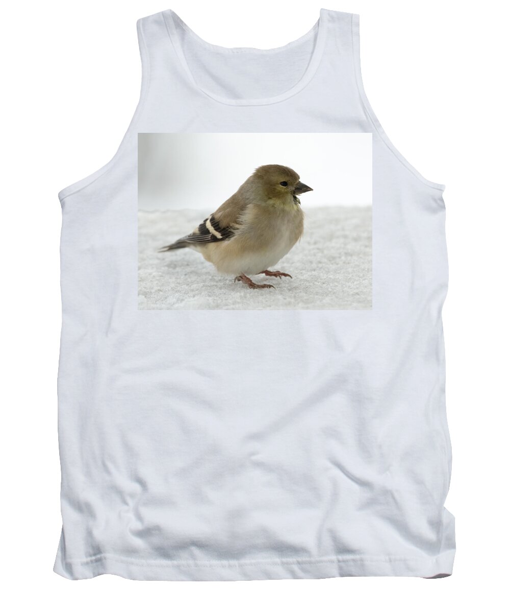 Jan Holden Tank Top featuring the photograph American Goldfinch in the Snow by Holden The Moment