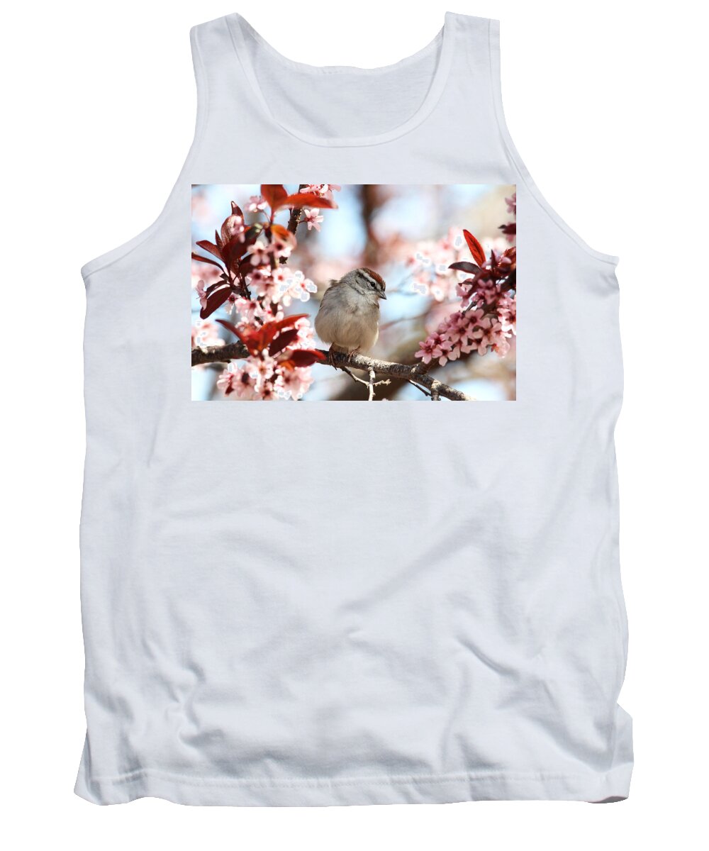 Sparrow Tank Top featuring the photograph Beautiful Sparrow by Trina Ansel