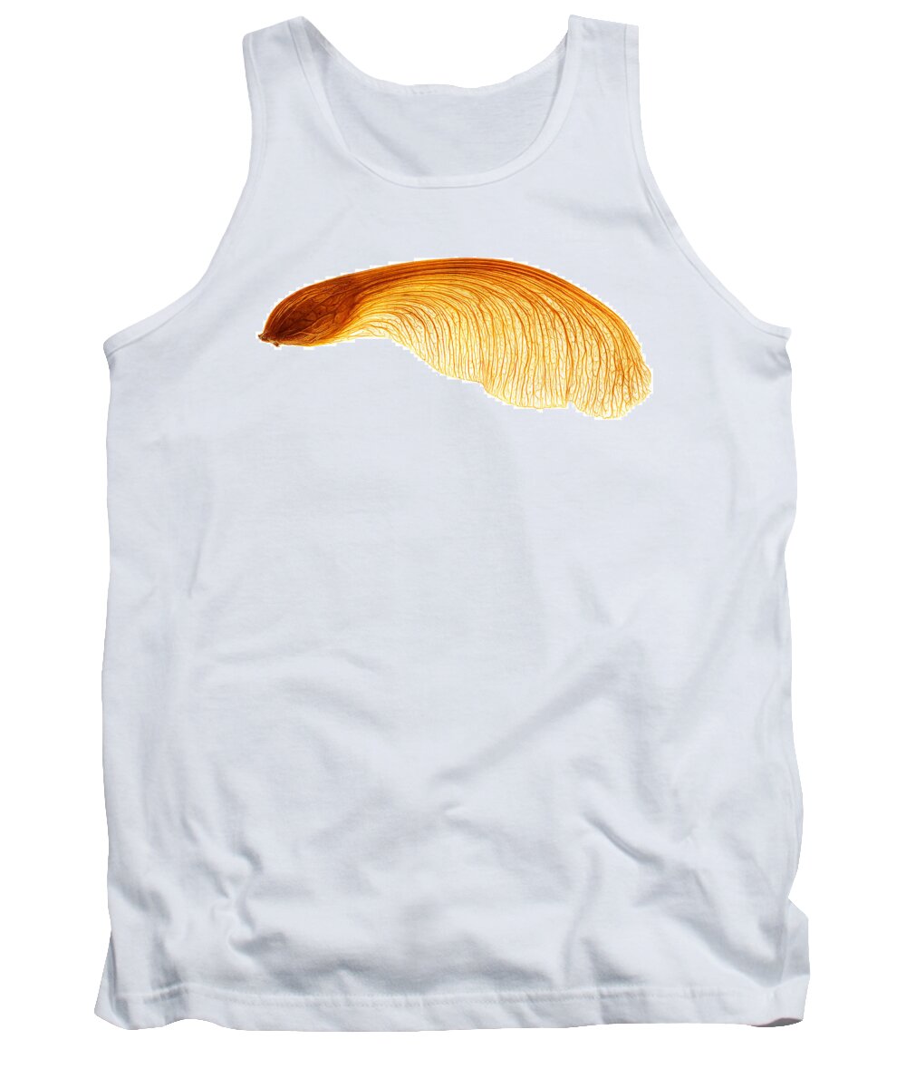 Seed Tank Top featuring the photograph Maple Seed Pod #1 by Robert Woodward