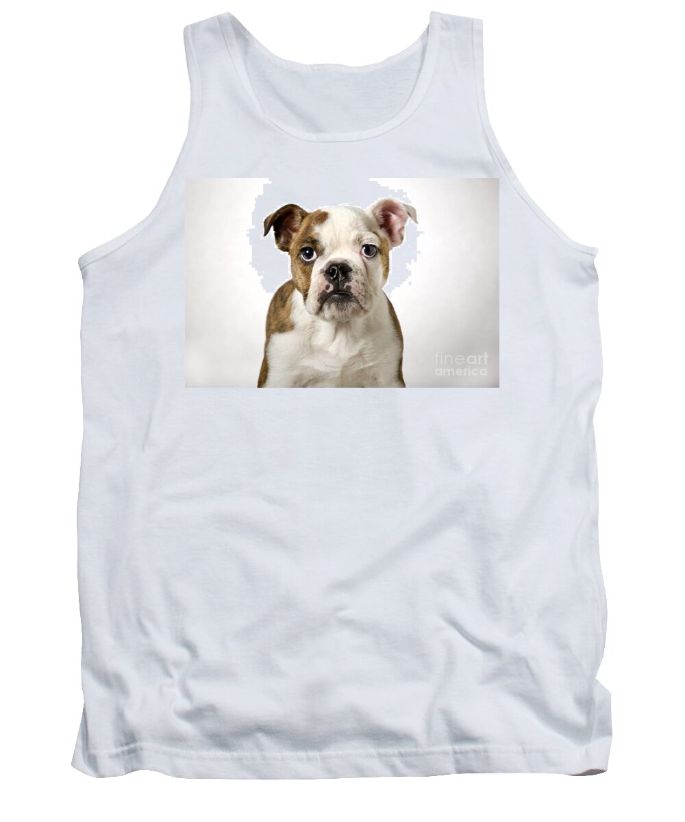 English Bulldog Tank Top featuring the photograph 110307p153 by Arterra Picture Library