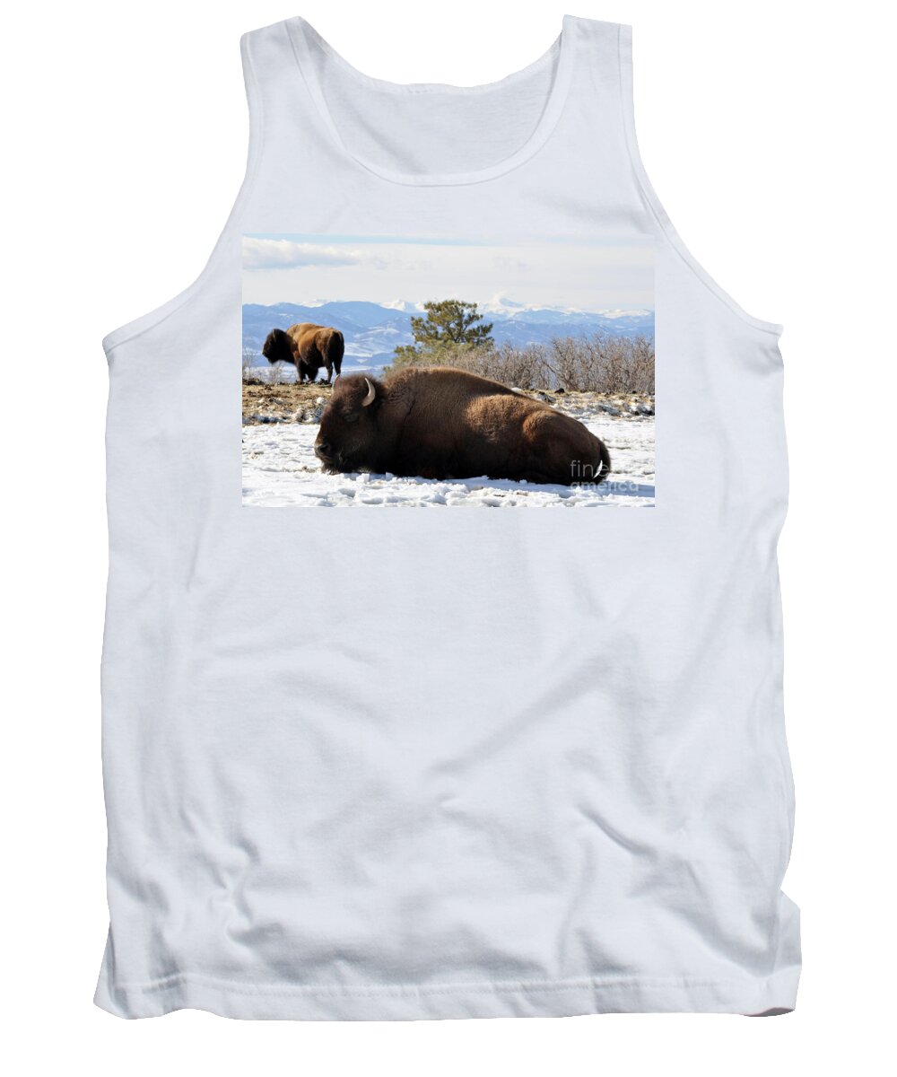 Buffalo Tank Top featuring the photograph 302 by Anjanette Douglas