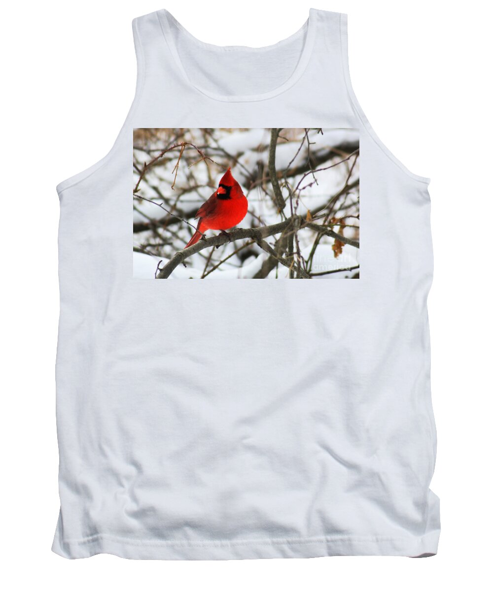 Alyce Taylor Tank Top featuring the photograph A Little Bit of Colour by Alyce Taylor
