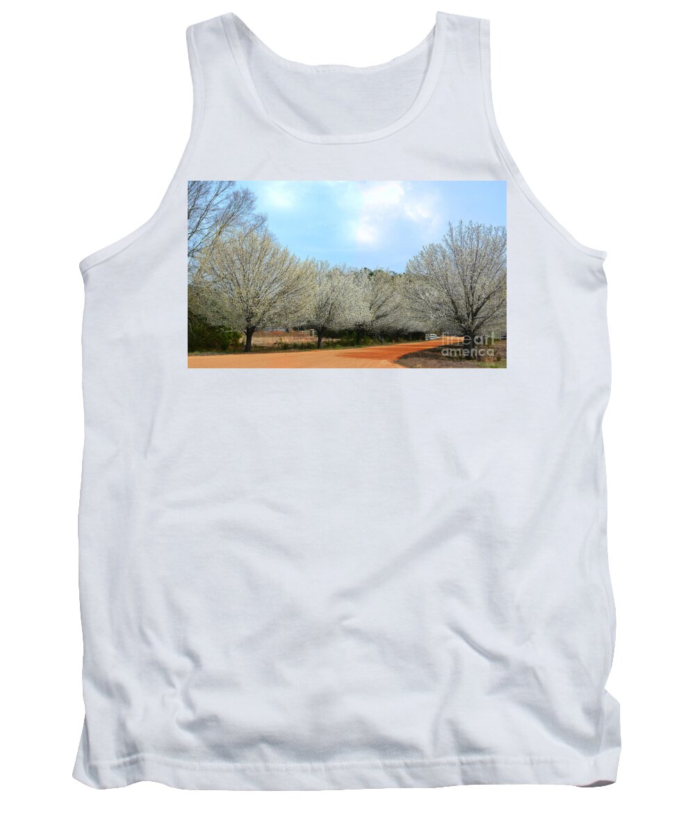 Spring Tank Top featuring the photograph A Touch Of Spring by Kathy Baccari