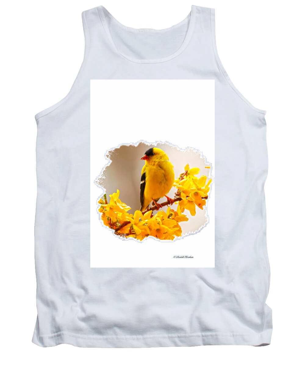 American Male Goldfinch Tank Top featuring the photograph American Goldfinch branch of forsythia by Randall Branham