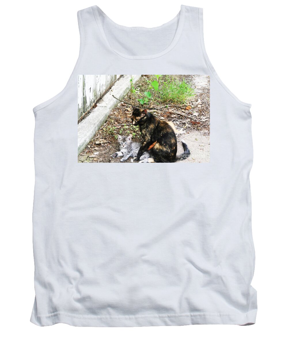 Barn Cats Photo Tank Top featuring the photograph Barn Cats by PainterArtist FIN