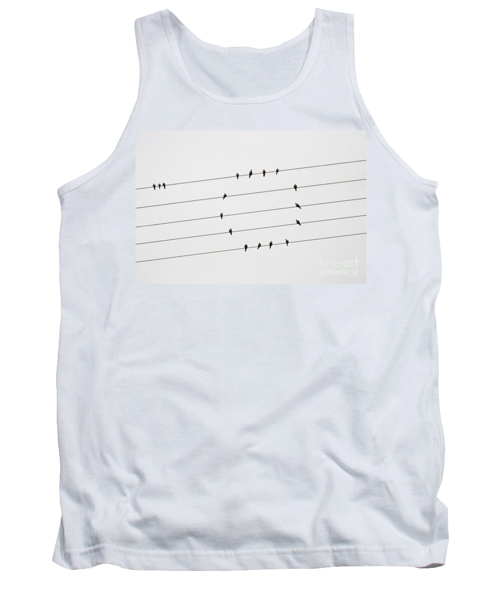 Communications Tank Top featuring the photograph Birds of a Feather by Diane Macdonald