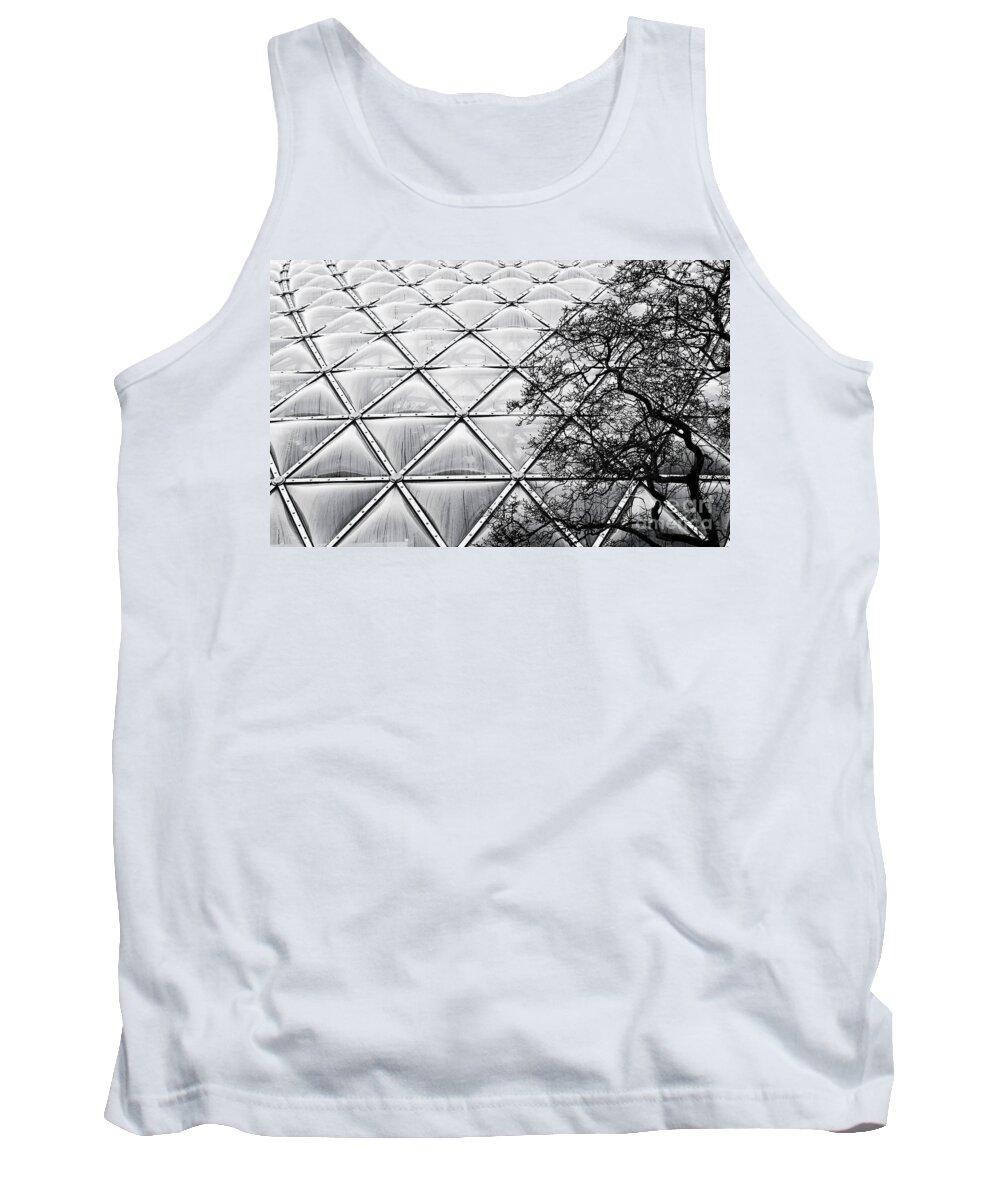 Bloedel Conservatory Tank Top featuring the photograph Bloedel Tree by Chris Dutton