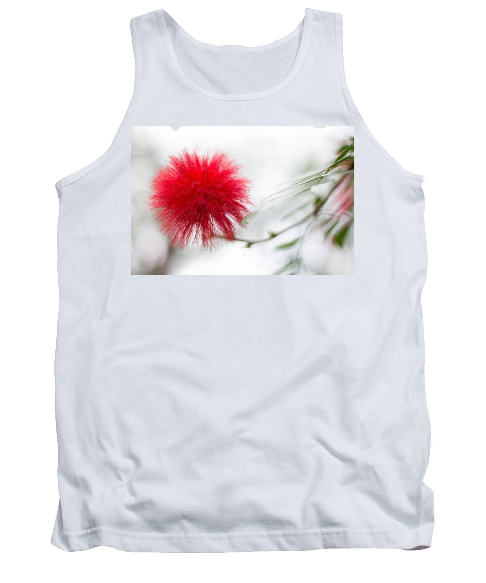 Canada Tank Top featuring the photograph Botanical Conservatory 6 by Jakub Sisak