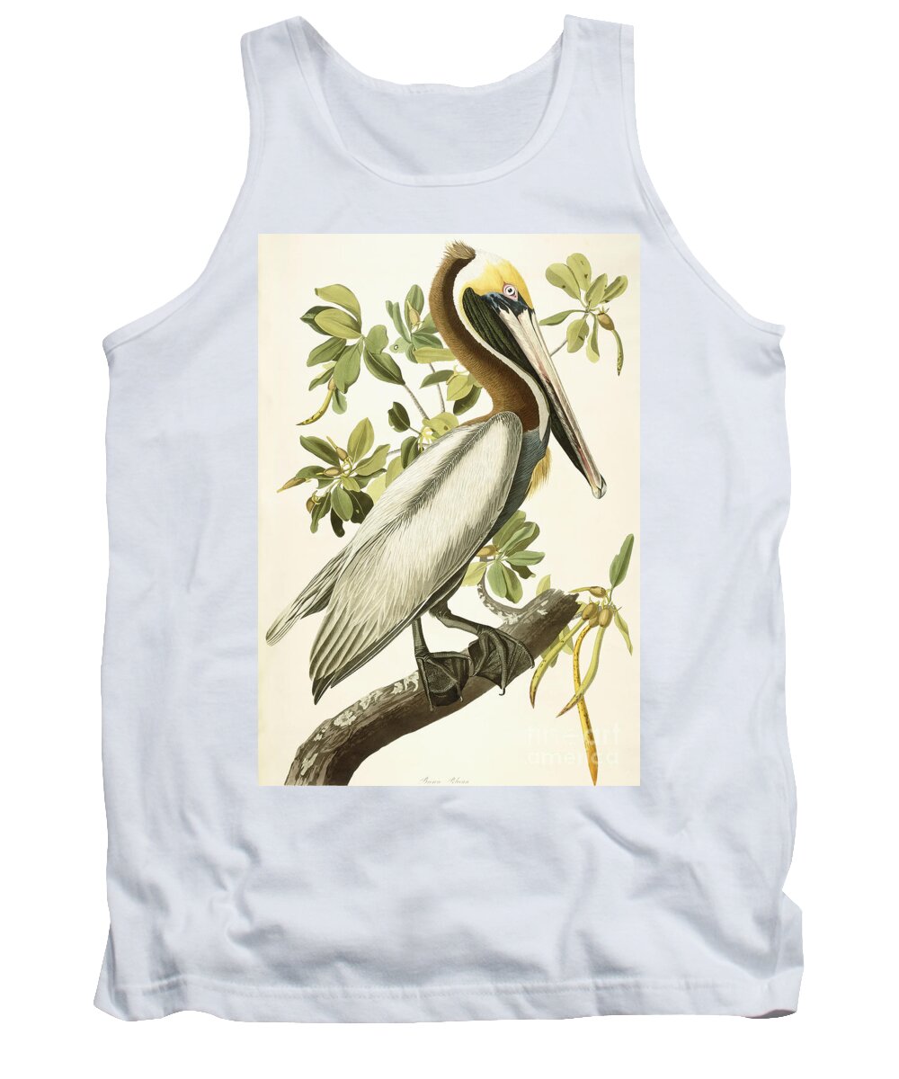 Brown Pelican Tank Top featuring the painting Brown Pelican by John James Audubon
