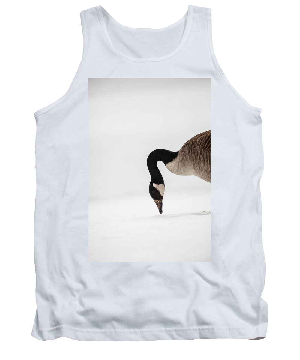 Canada Goose Point Tank Top featuring the photograph Canada Goose Point by Karol Livote