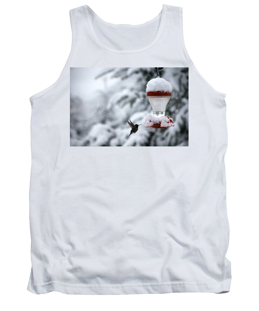 Snow Tank Top featuring the photograph Christmas Hummingbird by KATIE Vigil