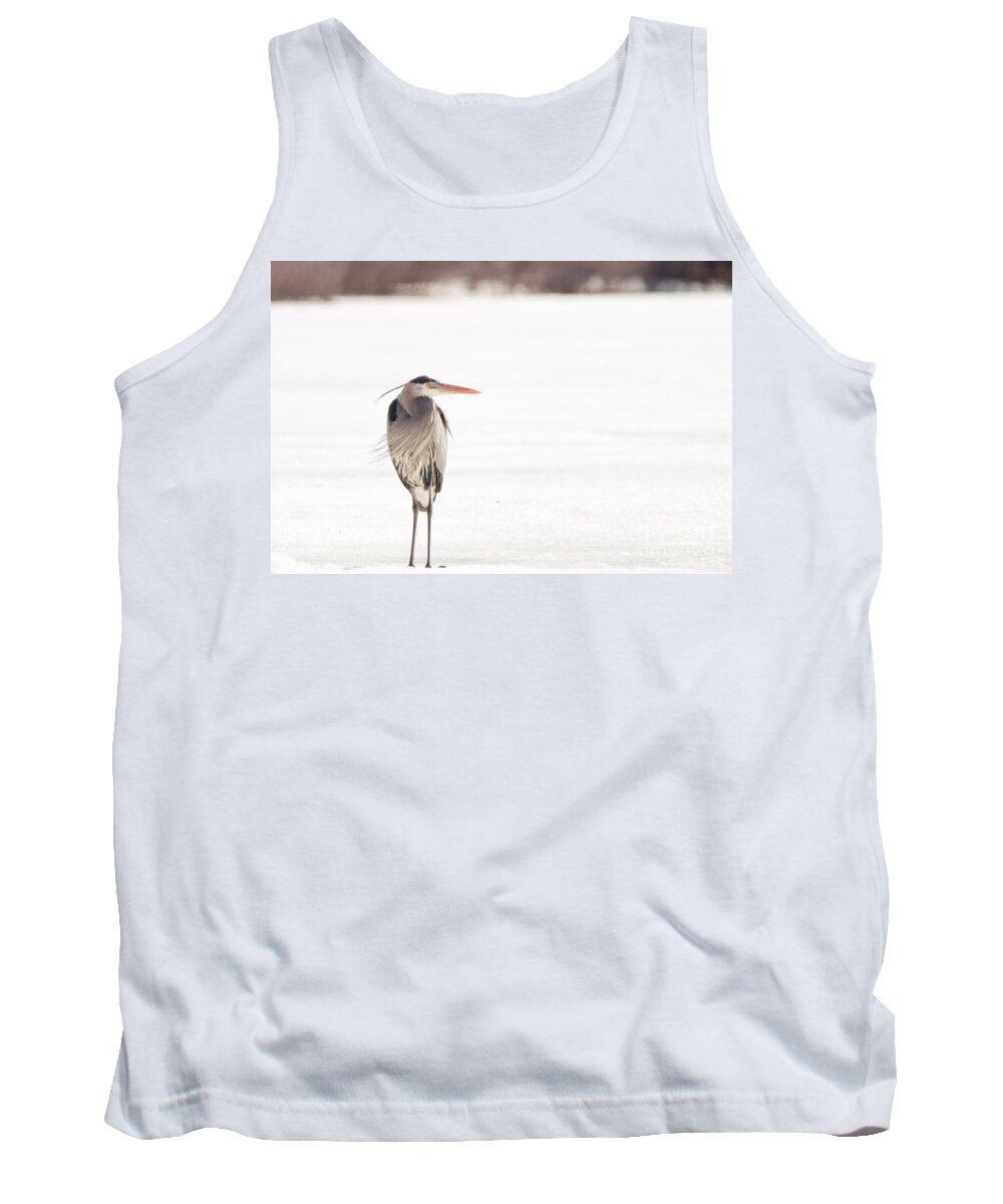 Great Blue Heron Tank Top featuring the photograph Cold Great Blue by Cheryl Baxter