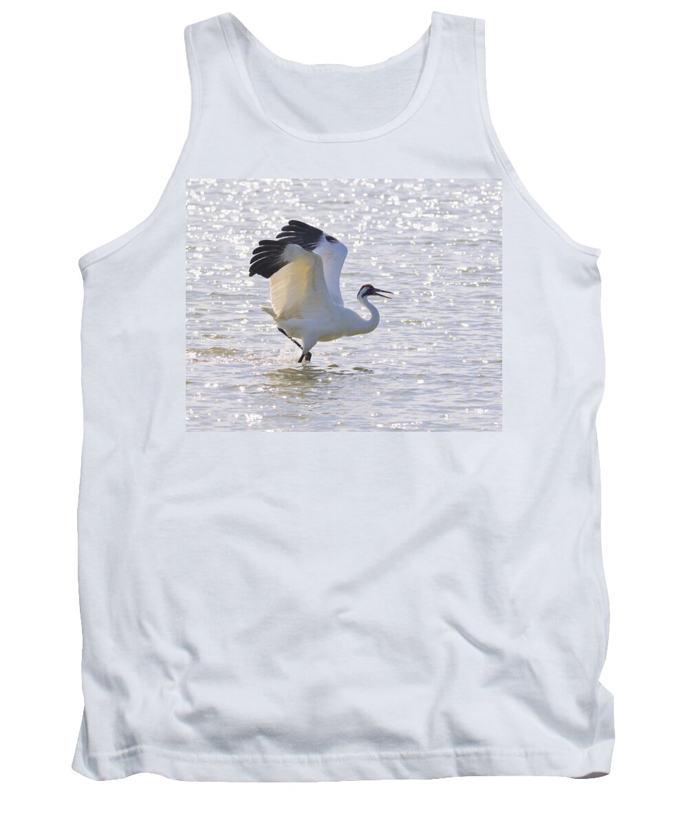 Whooping Crane Tank Top featuring the photograph Dancing For My Lady by Tony Beck