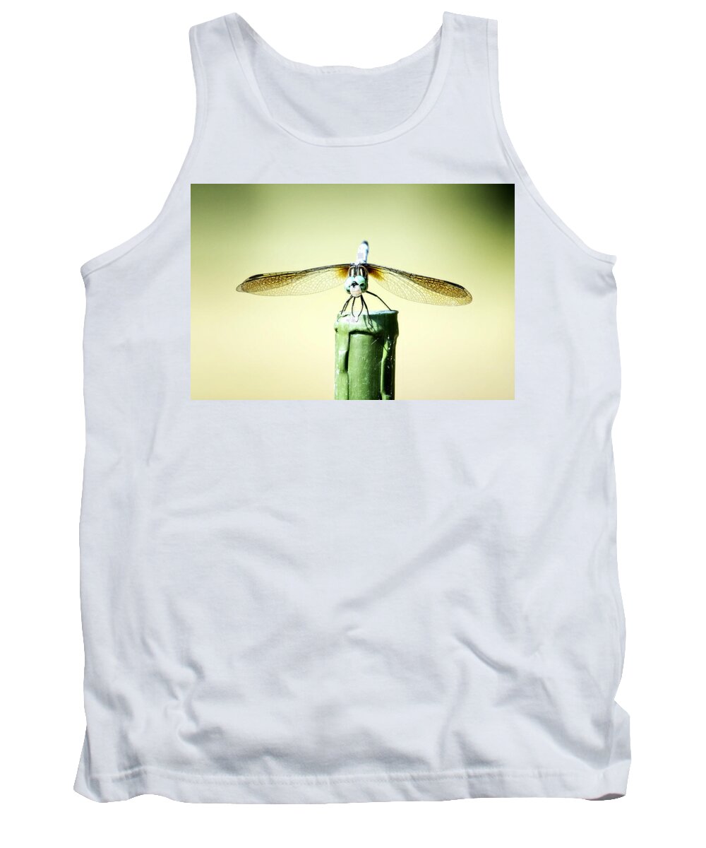 Insect Tank Top featuring the photograph DragonFly by Michael White