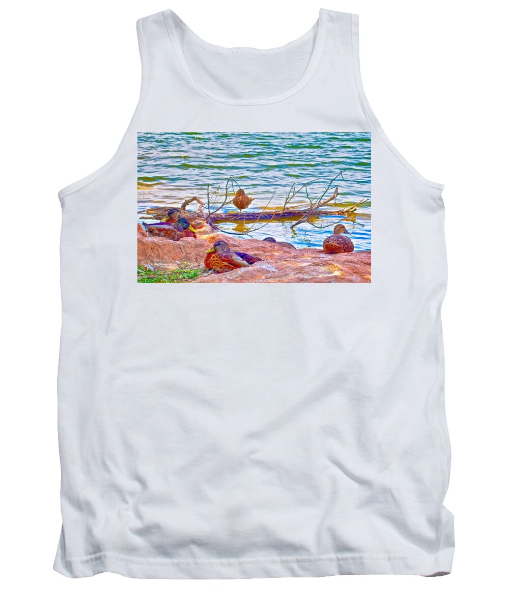 Duck Prints Tank Top featuring the photograph Mallard Ducks Resting by Inks Lake by Kristina Deane
