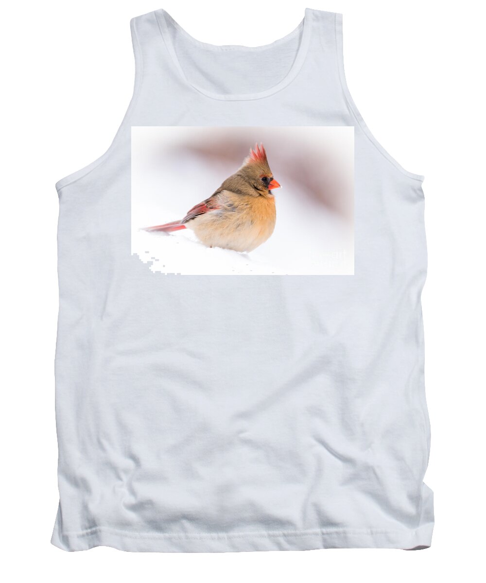 Female Northern Cardinal Tank Top featuring the photograph Female Northern Cardinal by Ronald Grogan