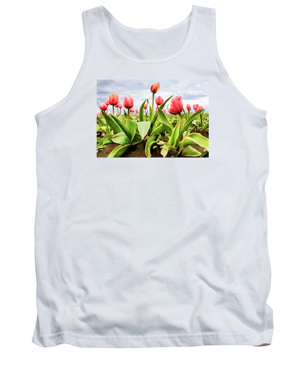 Tulips Tank Top featuring the photograph Field of Pink Tulips by Athena Mckinzie